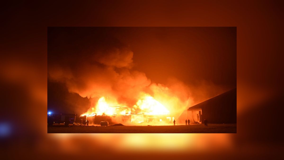 Weg Munnekezijl zeven dagen na grote brand pas weer open voor verkeer