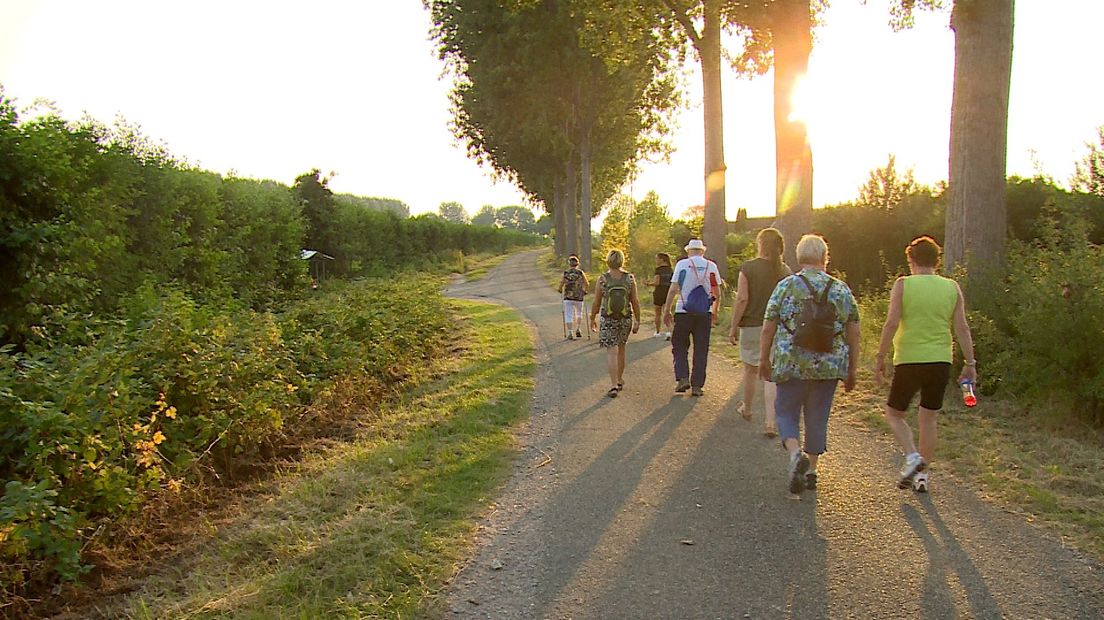 Wandelgroep in 's Gravenpolder - wandelen helpt om diabetes te beteugelen
