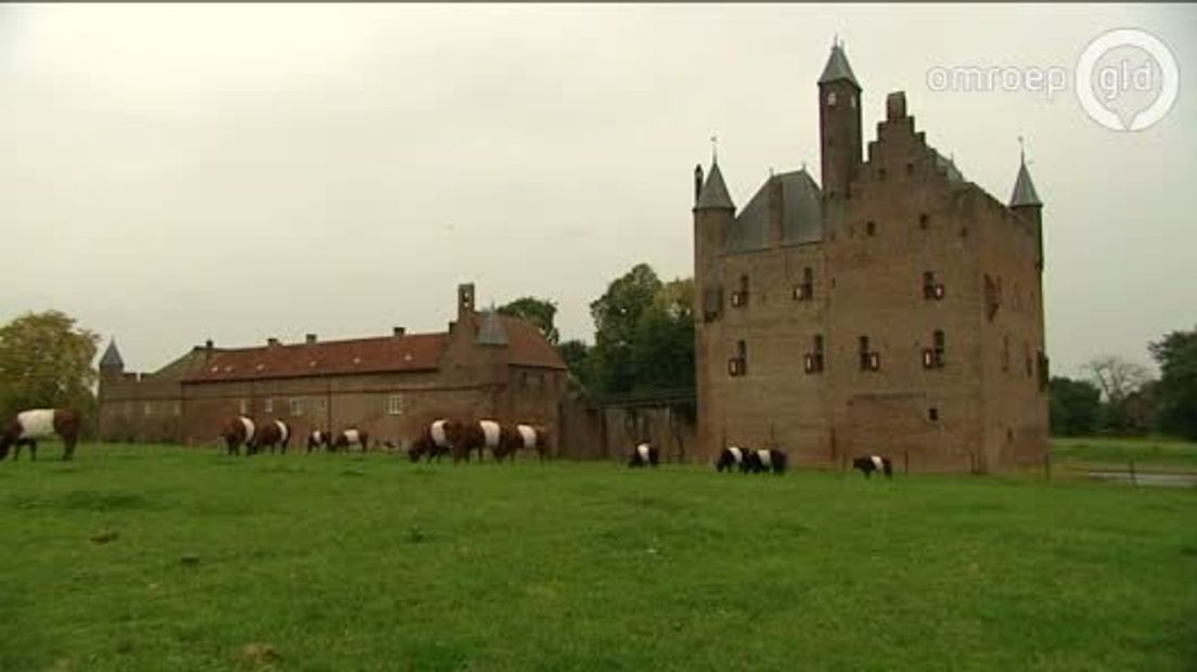 De 25-jarige Maarten Balk runt de kasteelboerderij in Doornenburg, de enige in ons land.