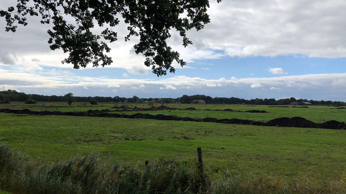 Het weiland bij Westerbroek