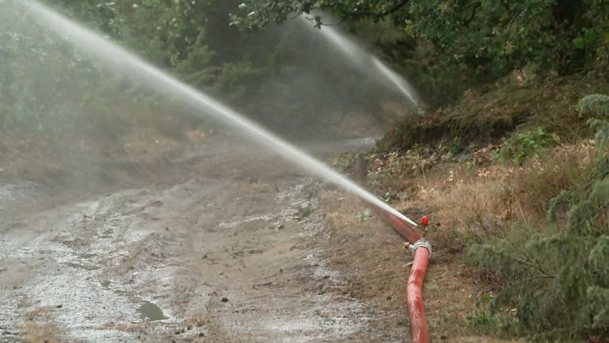 'Natte dweil' uit Kuinre temt smeulende bodem bij grote natuurbrand Limburg