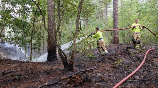 Bosbrand net over de grens bij Venray Home