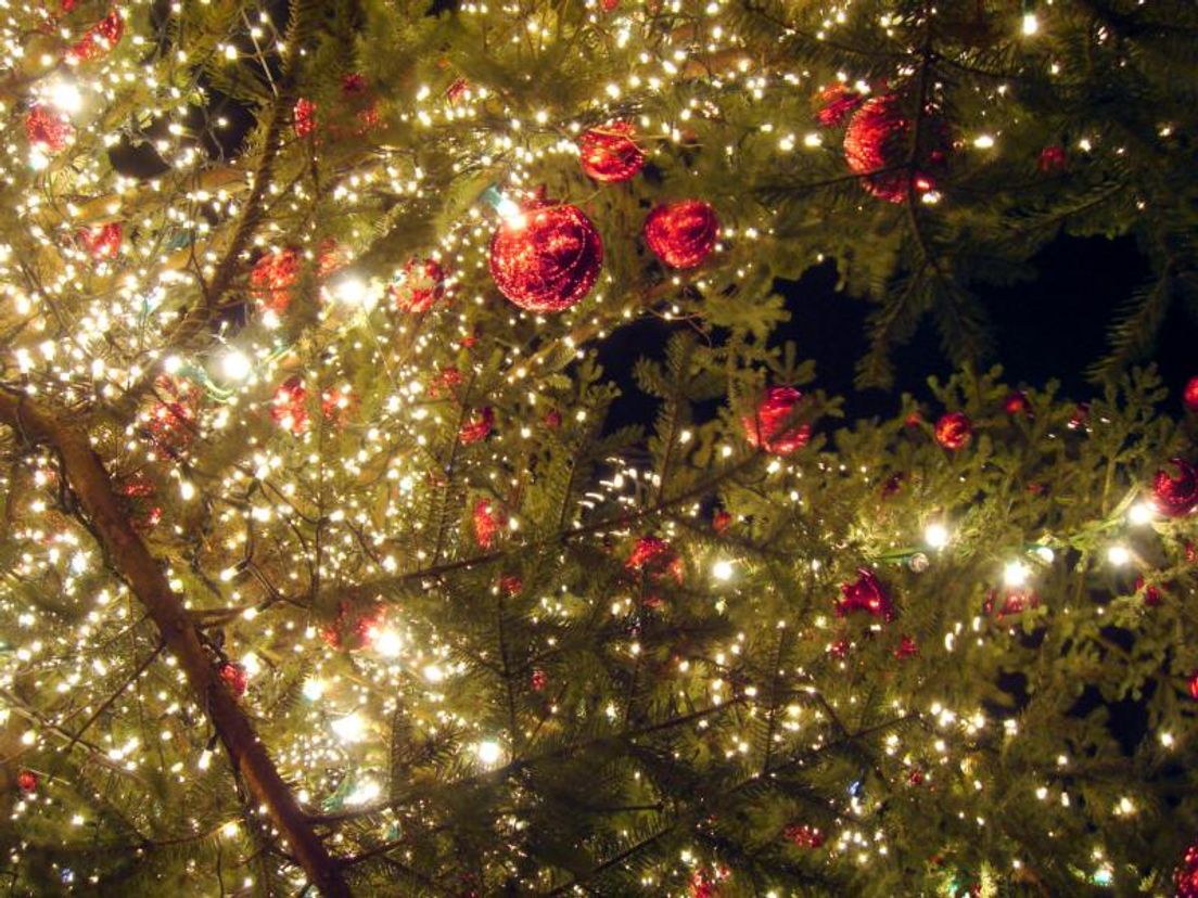 kerstboom