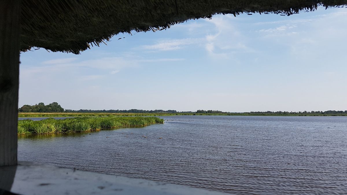 Opnieuw inrichten van De Alde Feanen gaat weer een nieuwe fase in