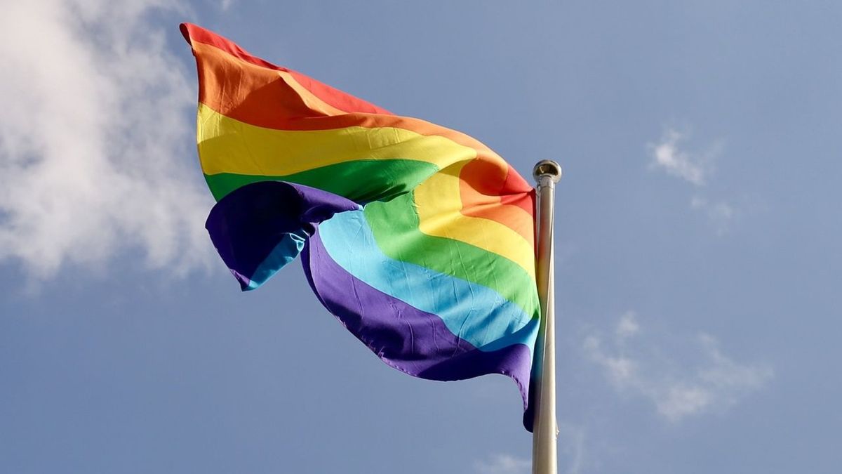 Zeker zeven regenboogvlaggen gestolen bij woningen in Oldebroek