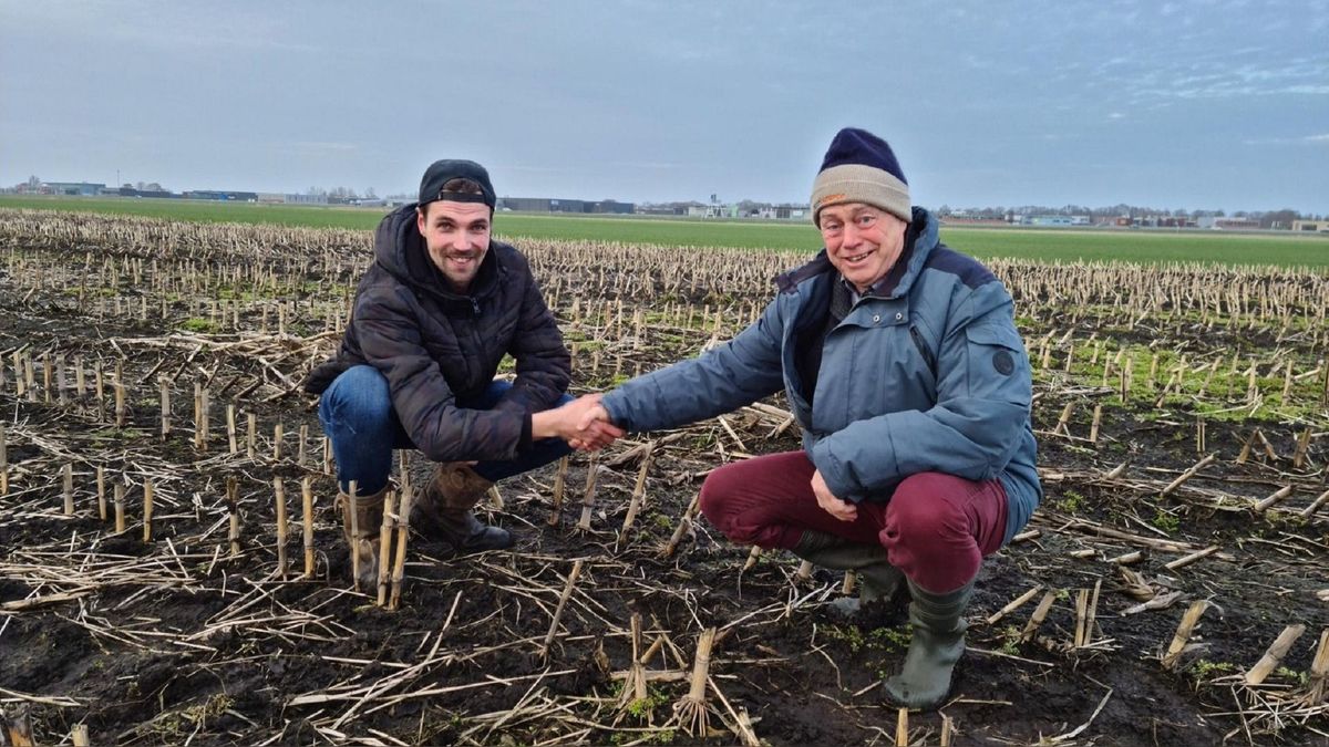 Eerste kievitsei van Fryslân gevonden bij Scharsterbrug door Anne Wind