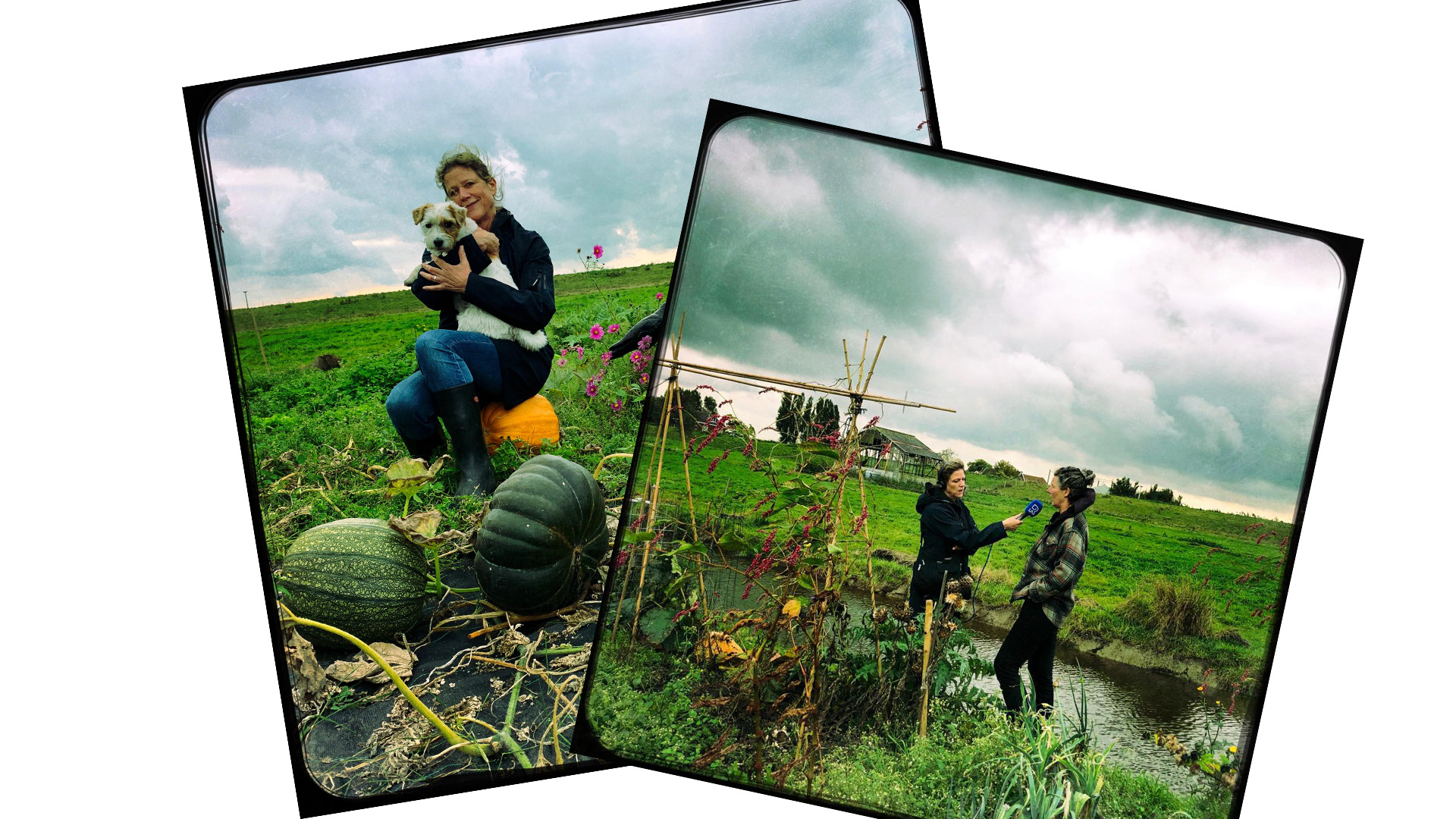 Chris Vemer aan het werk