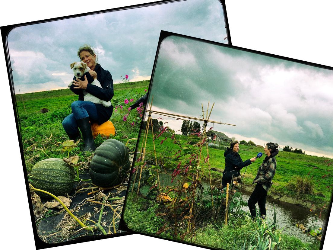 Chris Vemer aan het werk