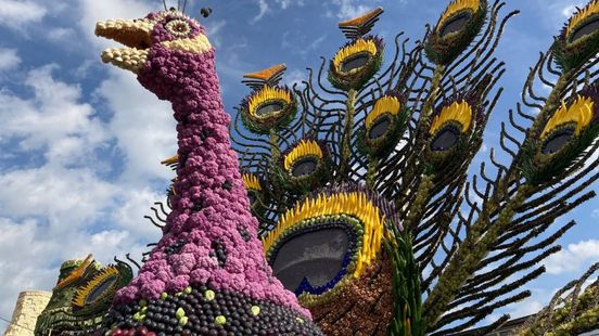 Fruitcorso rijdt niet meer: zo gaan de stilstaande wagens eruit zien