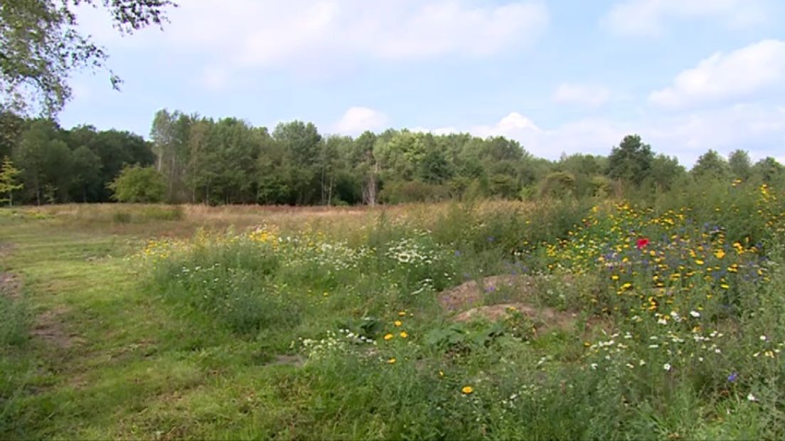 De natuurbegraafplaats in Emmen (Rechten: RTV Drenthe/Marjolein Knol)