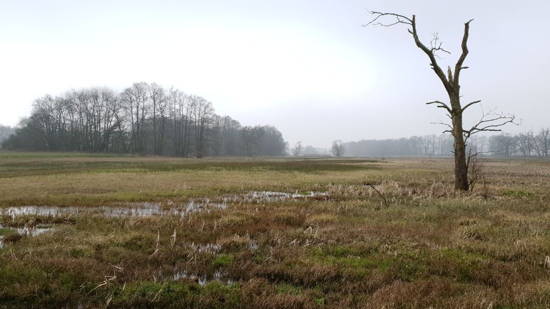 Een van de waterbronnen van de Drentsche Aa bij het Oudemolensediep (Rechten:RTV Drenthe/Dylan de Lange)