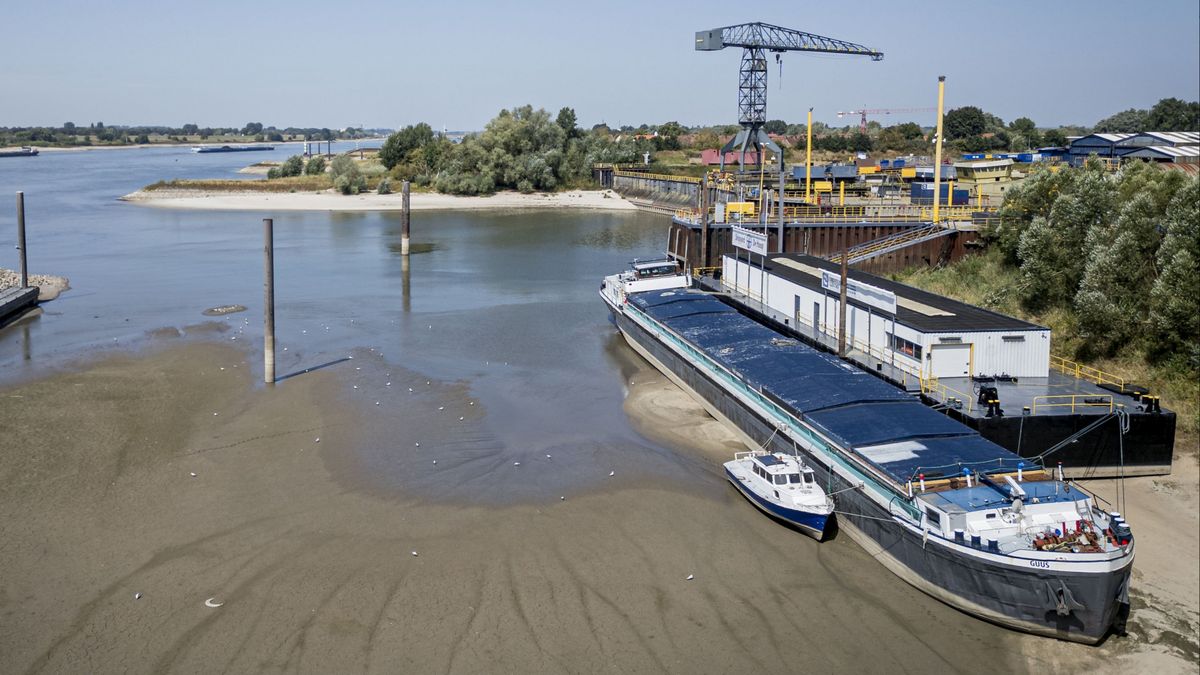 'Problematische scheuren' ontdekt in twee dijken