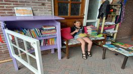 Dag van de minibieb: 'Het zijn boeken voor iedereen'
