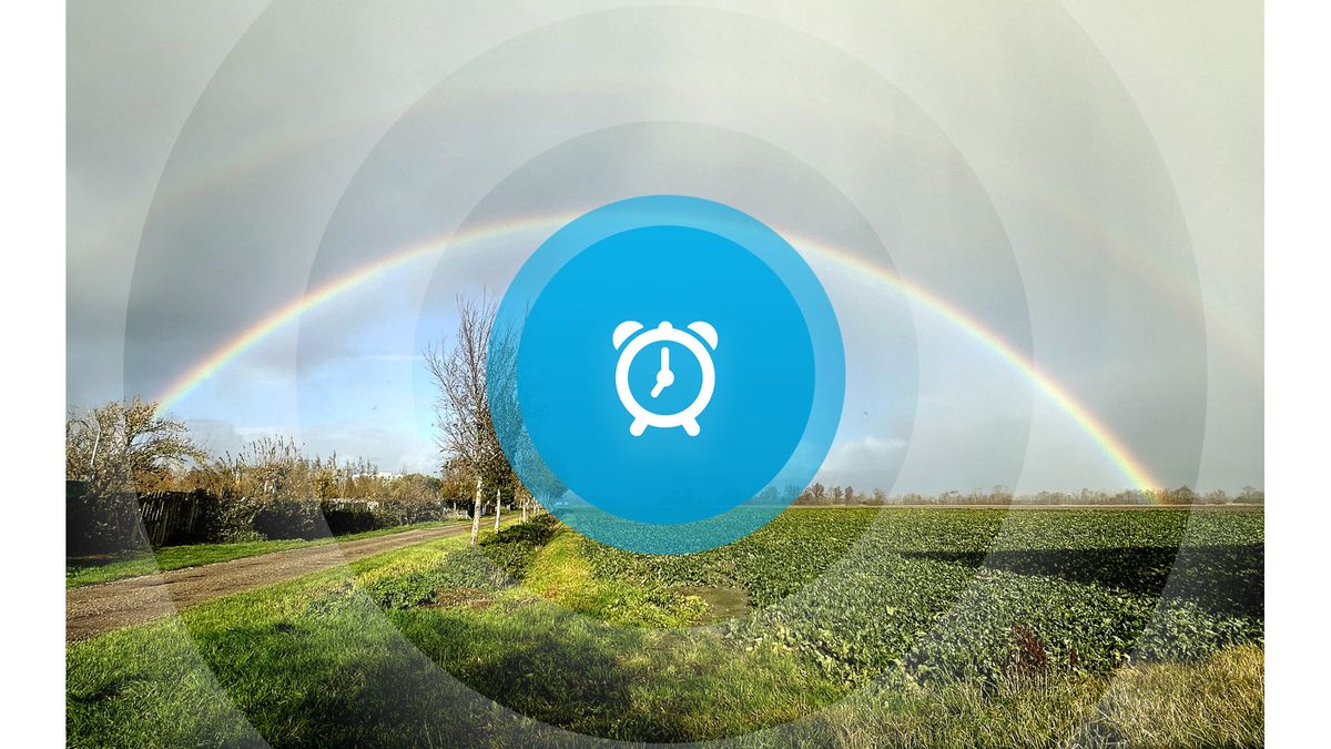 Goedemorgen! Geldprijs voor dierenasiel, hoger beroep in verdrinkingszaak en oefening in de Vlaketun