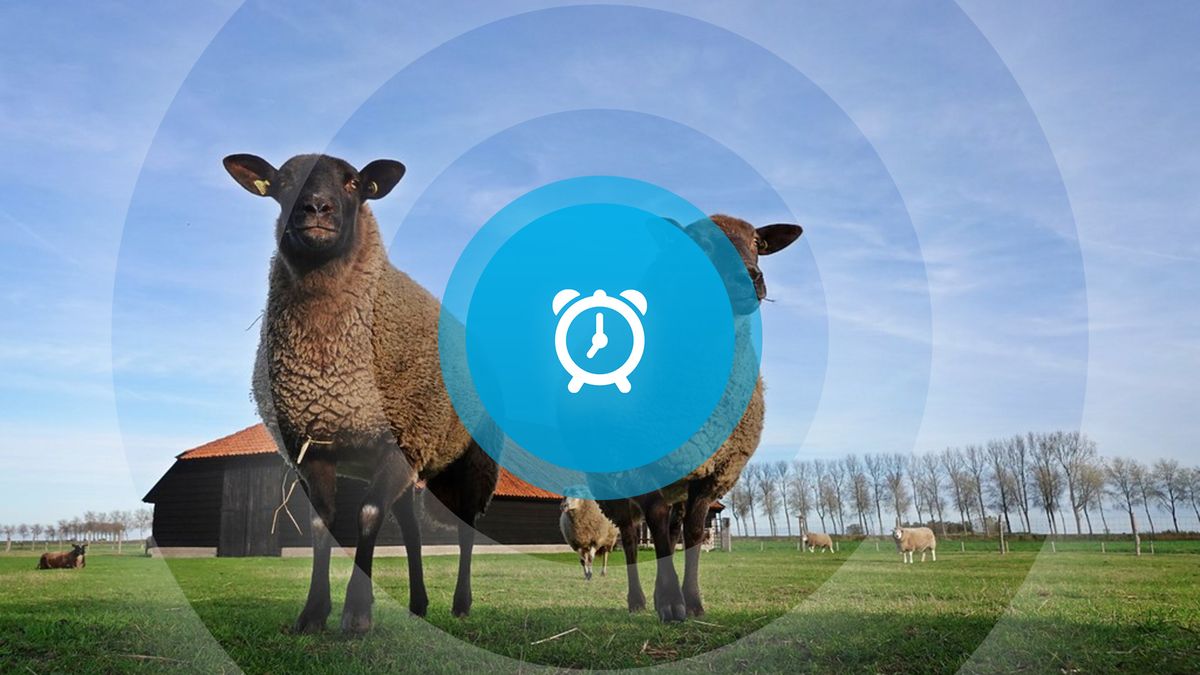 Goedemorgen! Halloween, laatste dag Visserijmuseum en dag vol tuinieren