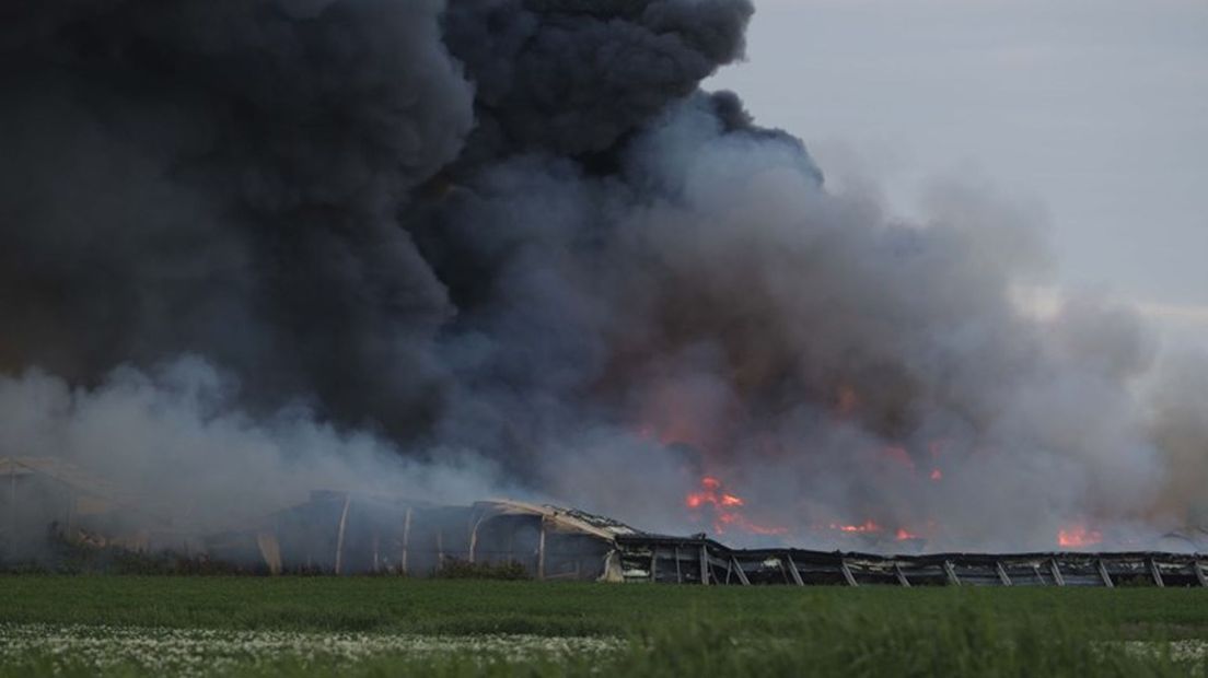 De brand in de kippenstallen vond plaats in 2018 (Rechten: Persbureau Meter)