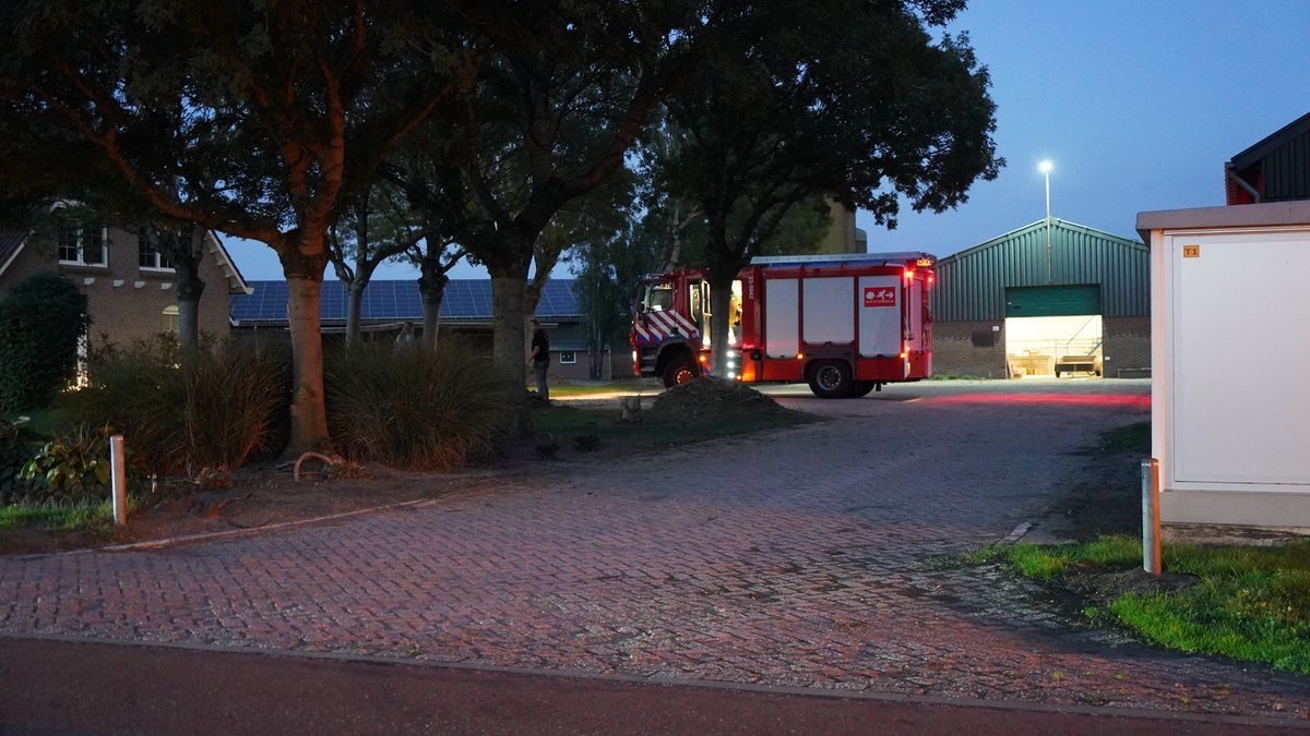 Alarm om lekkage van mierenzuur bij varkensbedrijf in Ysselsteyn