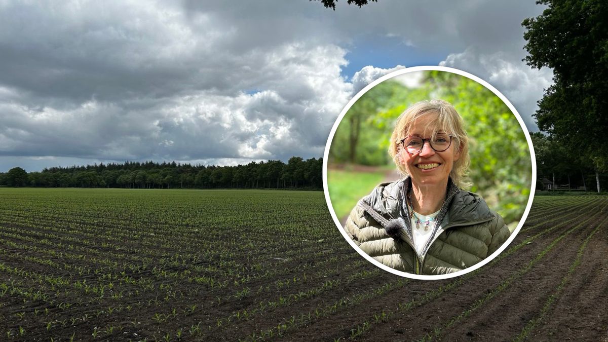 Groep Staphorsters zet in op natuurcompensatie voor komst munitiedepot