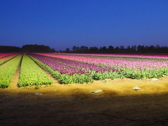 Wat is er dit weekend te doen in Drenthe?