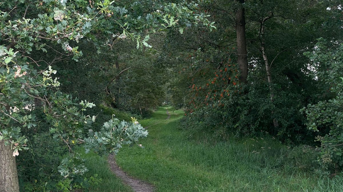 Zelf een stukje natuur? Met Groenruil kan het