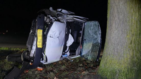 Busje botst op boom, bestuurder mee met politie Nieuws