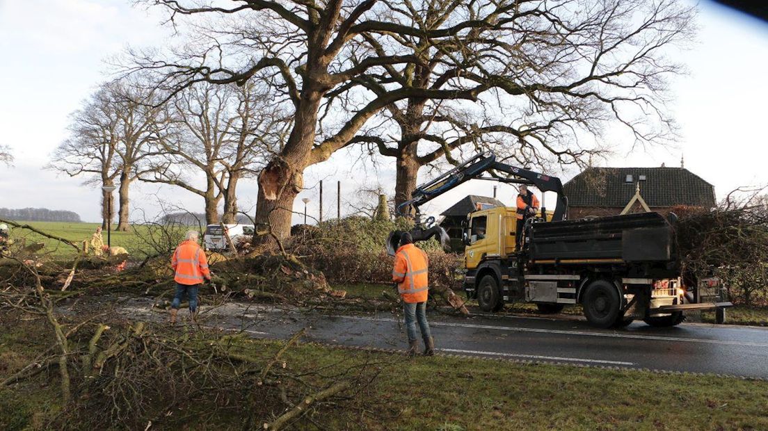 Eik blokkeert de weg in Markelo