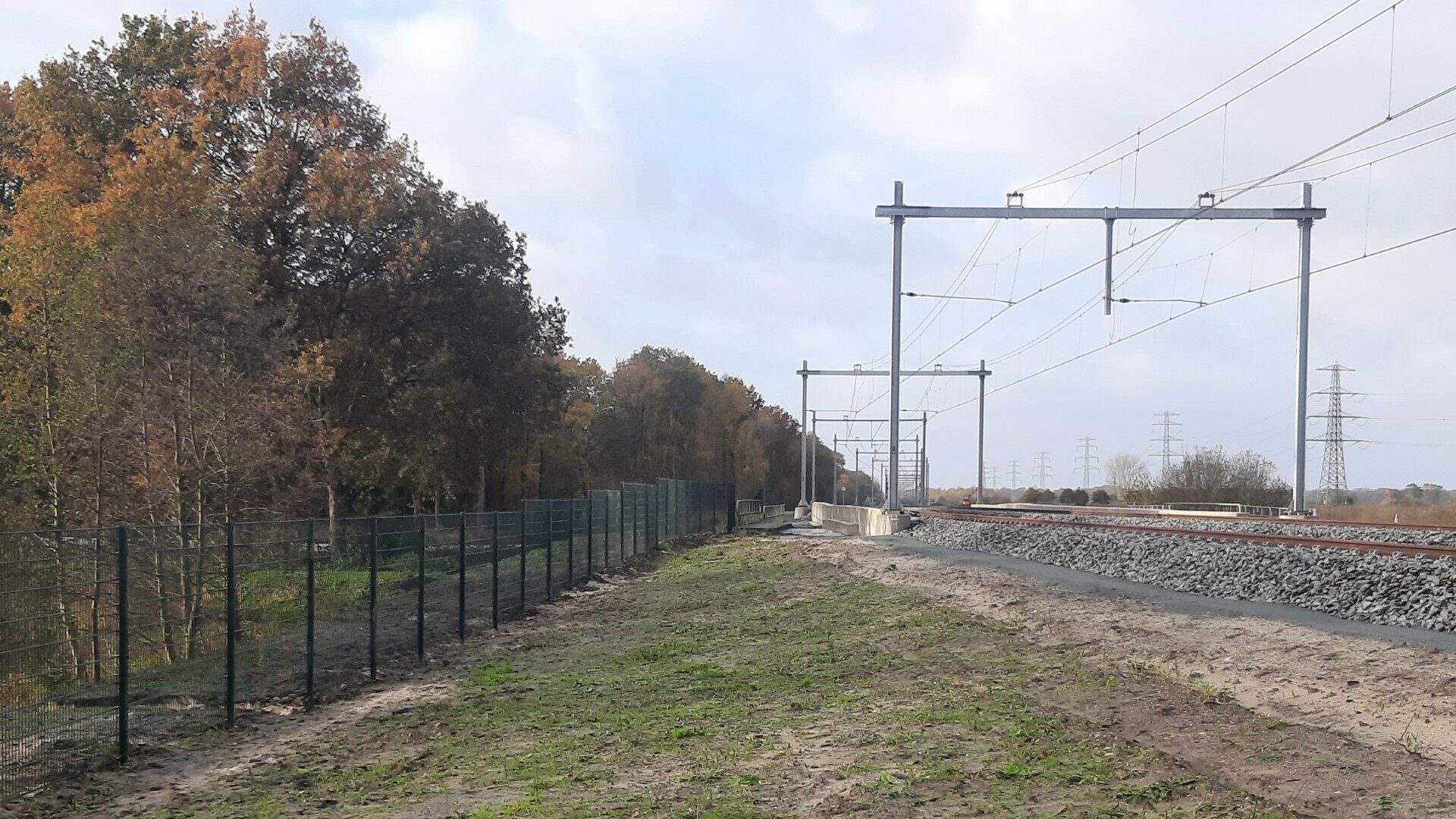 Beschermde vissoort gooit roet in het eten bij Hoogeveense fietsbrug