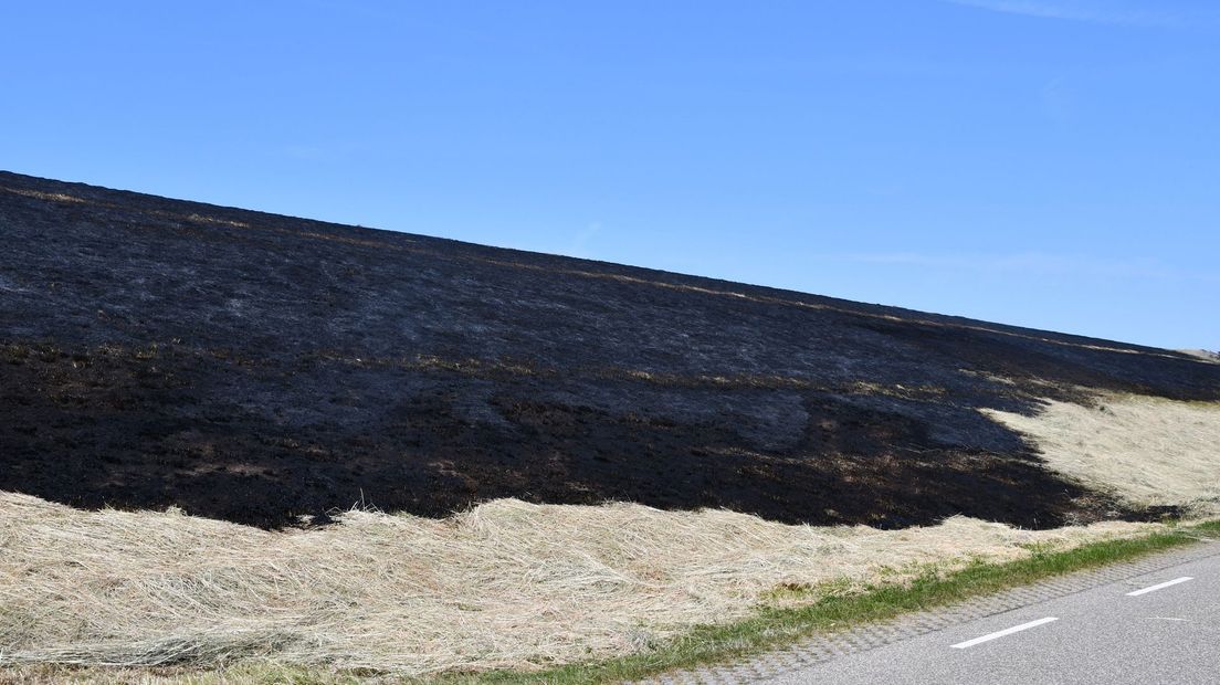 Middelbrand begroeiing dijk Zaamslag