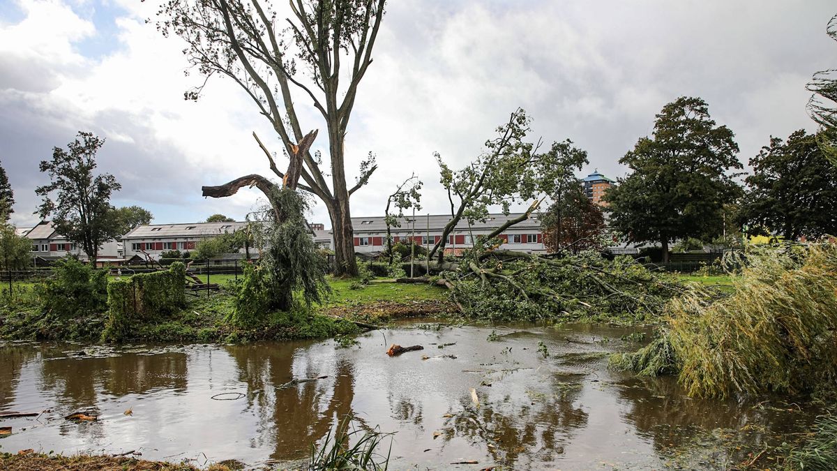 112-nieuws: Wind zorgt voor ravage in Stadskanaal • Auto's botsen op A7 bij Sappemeer