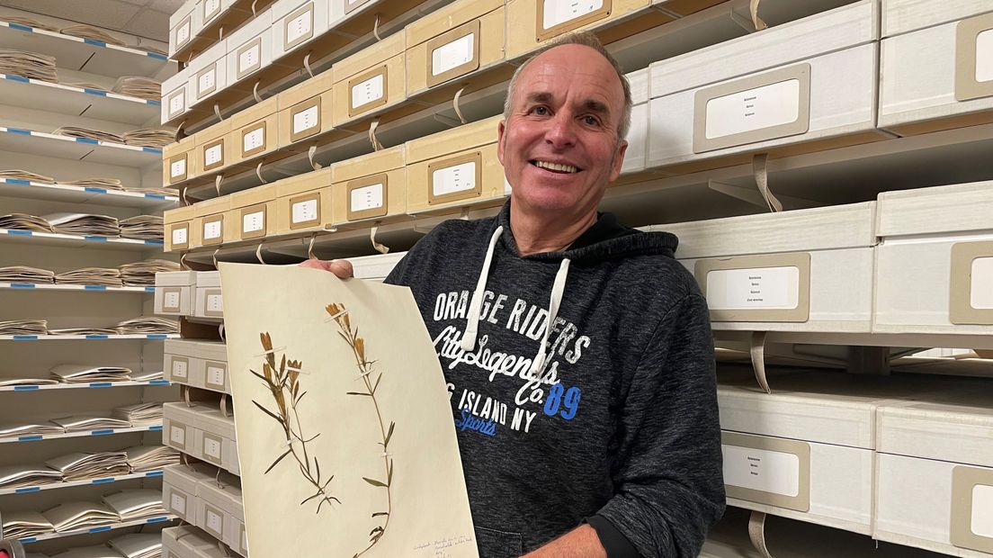 Karst Meijer yn it Herbarium Frisicum