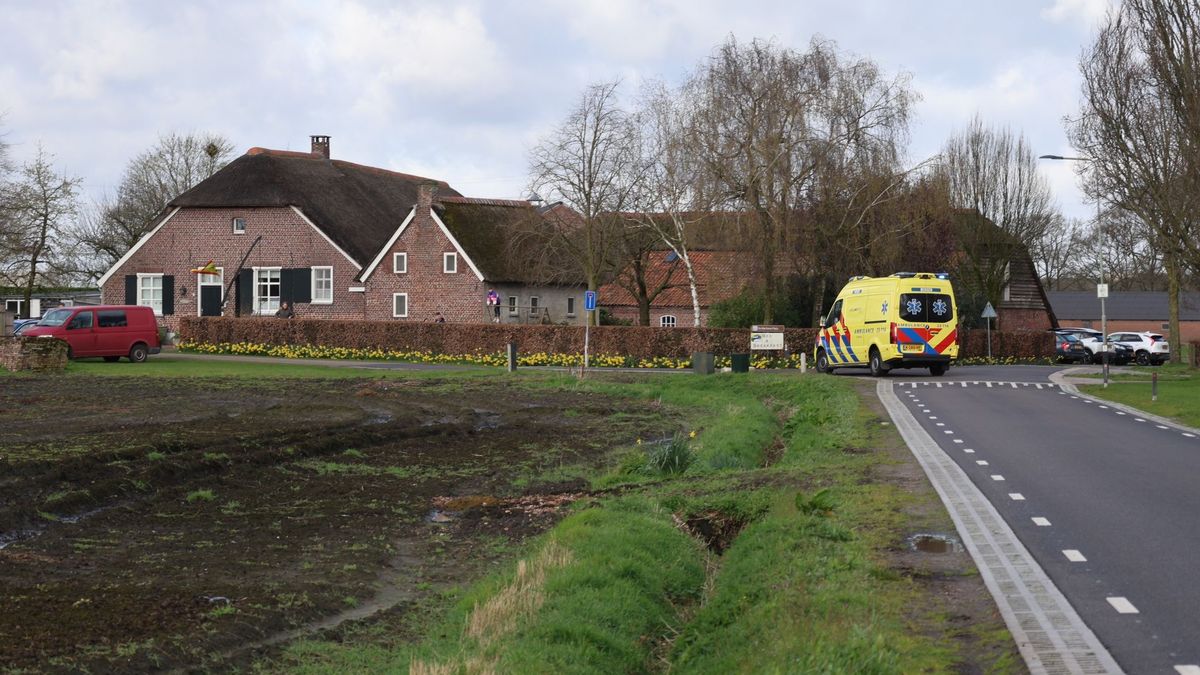 Meisje naar ziekenhuis na val van paard