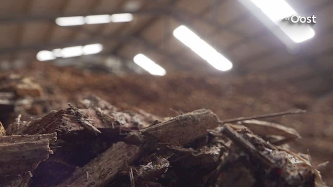 Milieuactiegroep voert in Zwolle actie tegen bouw van biomassacentrale