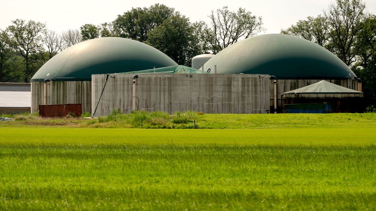 Subsidie voor nieuwe vergister van koemest in Drijber