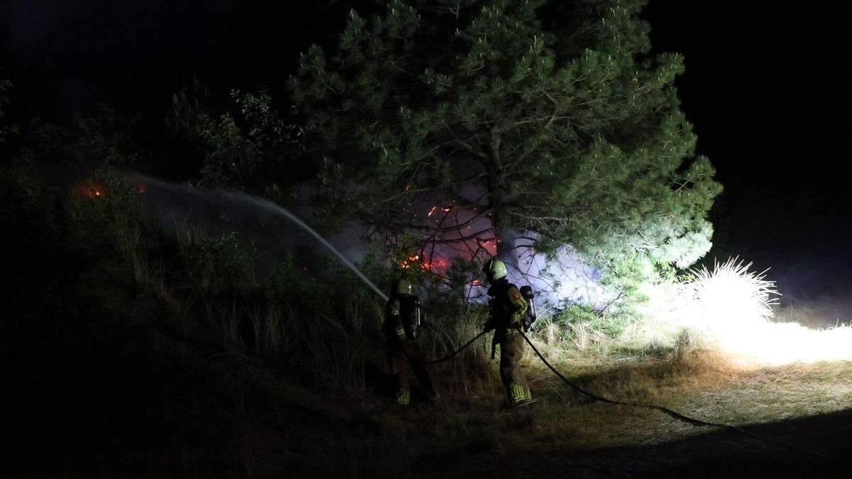 400 vierkante meter natuur op Vlieland in vlammen opgegaan