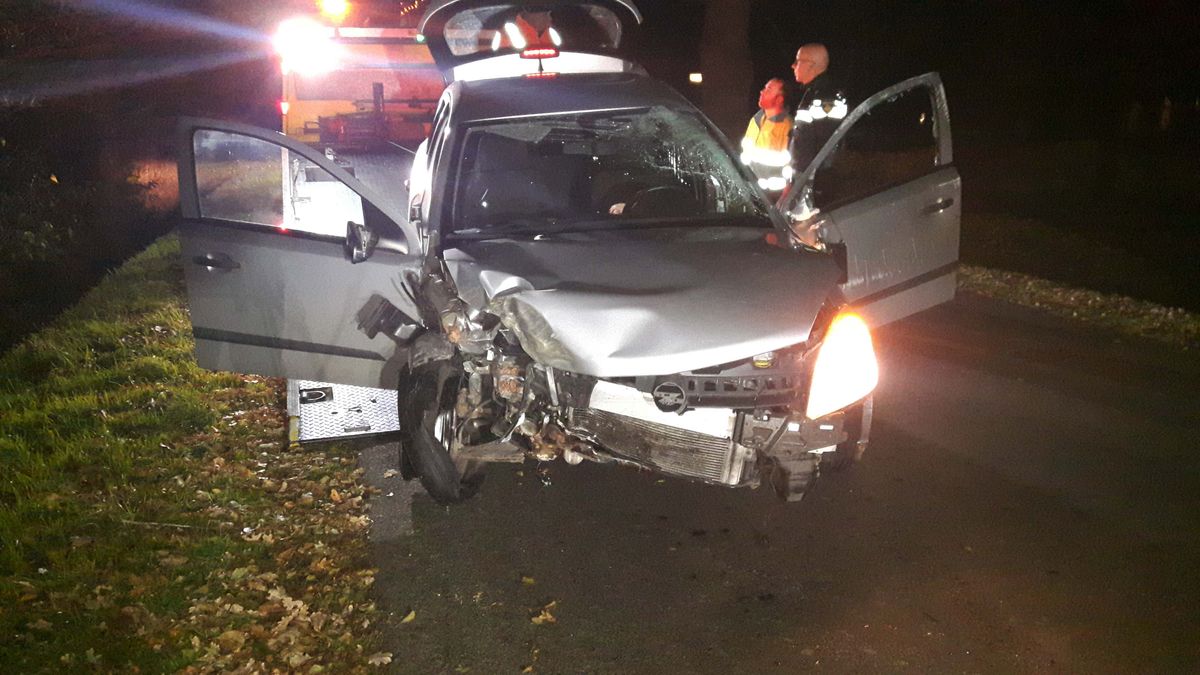 Auto botst tegen boom in Drijber