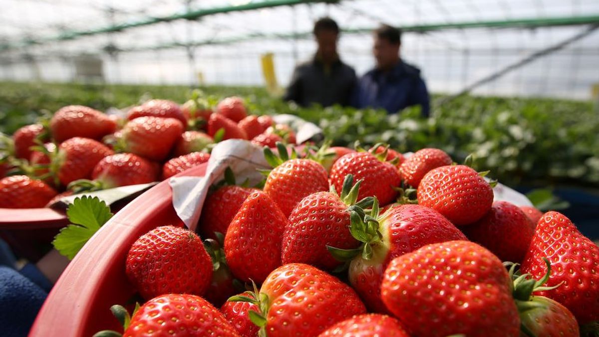 Geen Polenhotel in Zuilichem, maar wat dan wel?