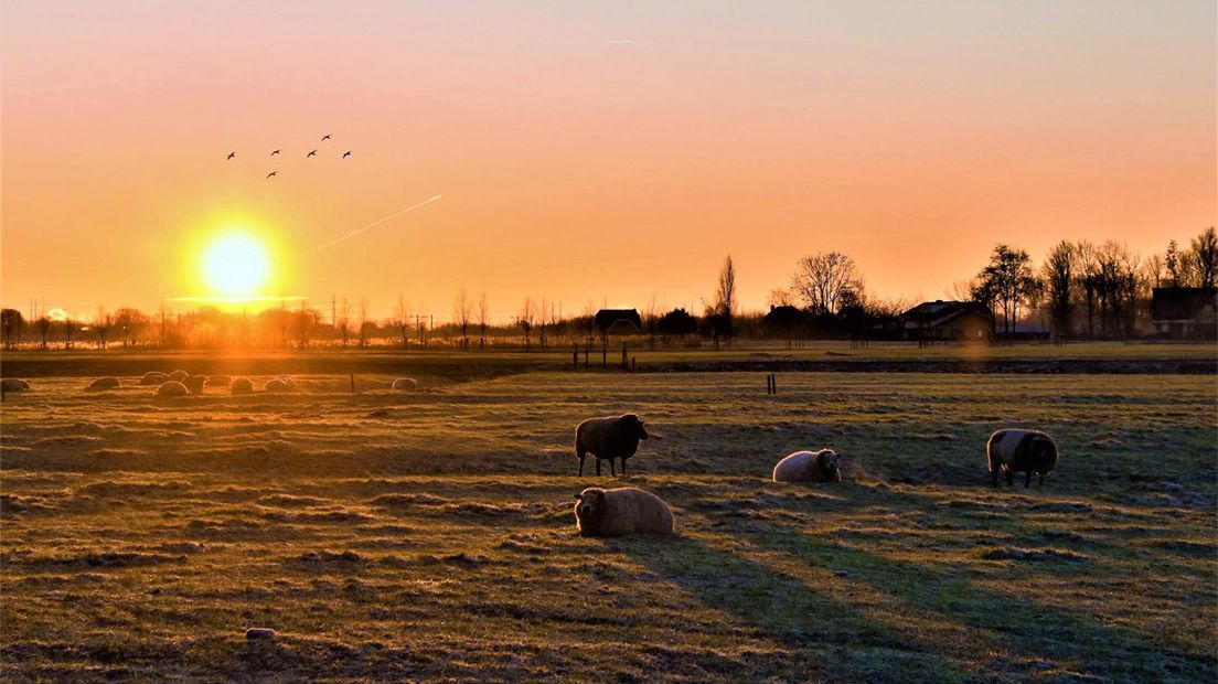 Zonsopkomst in Pijnacker.