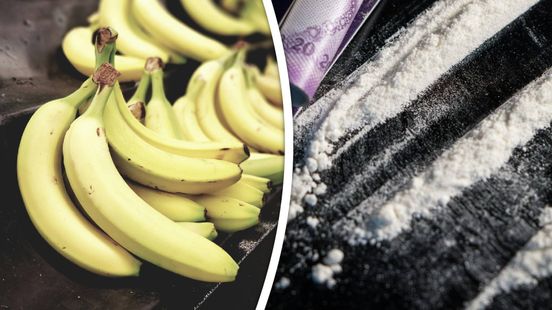 Dordtenaar aangehouden voor cocaïnesmokkel tussen bananen Home
