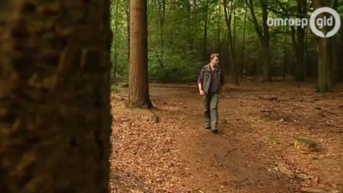 Staatsbosbeheer experimenteert in het Speulderbos met andere manieren om de wandelpaden en natuurgebieden te onderhouden.