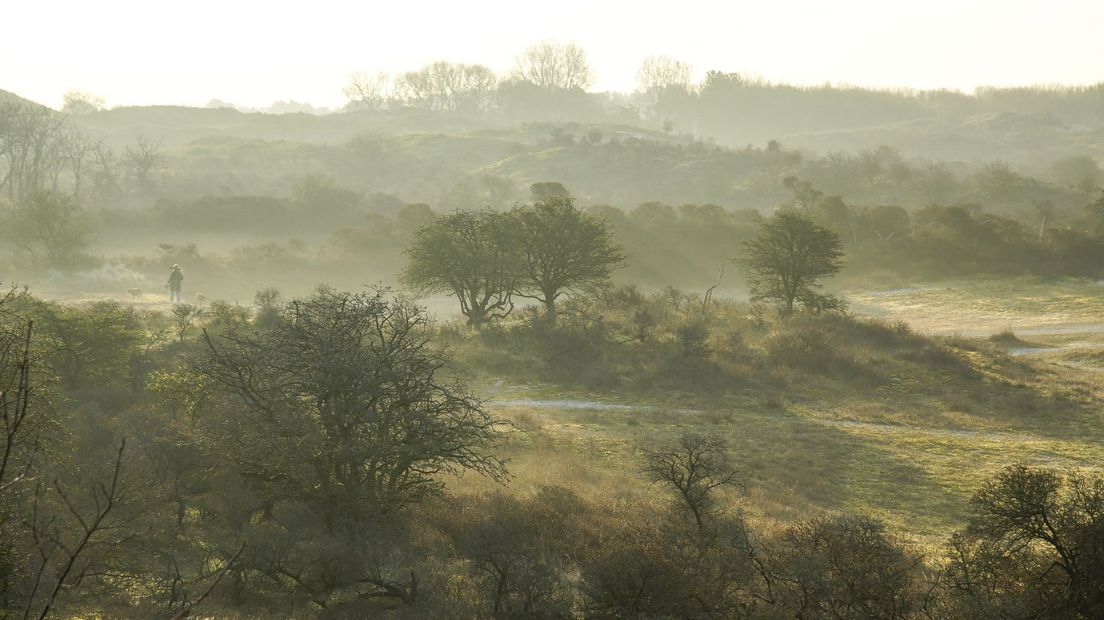 Sprookjesachtige ochtend tussen Wassenaar en Katwijk