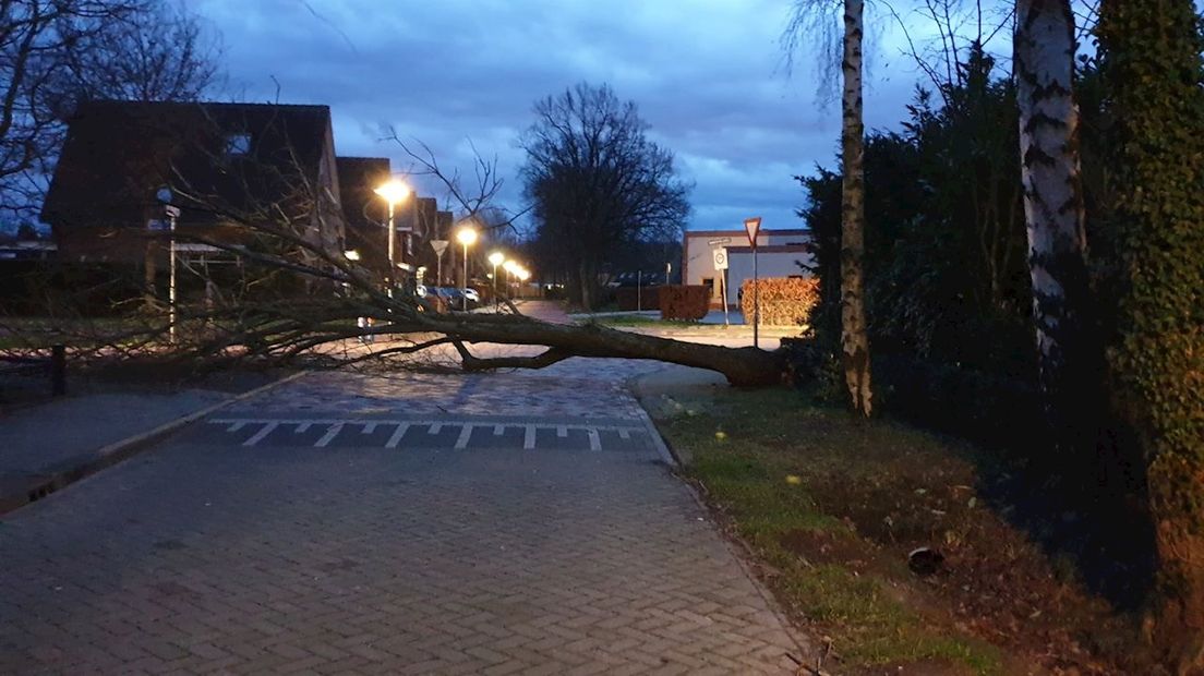 Een boom waaide om in Hengelo door de harde wind