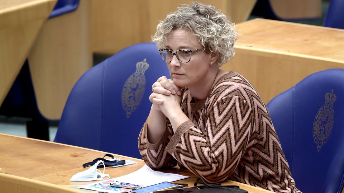 Wieke Paulusma in de Tweede Kamer