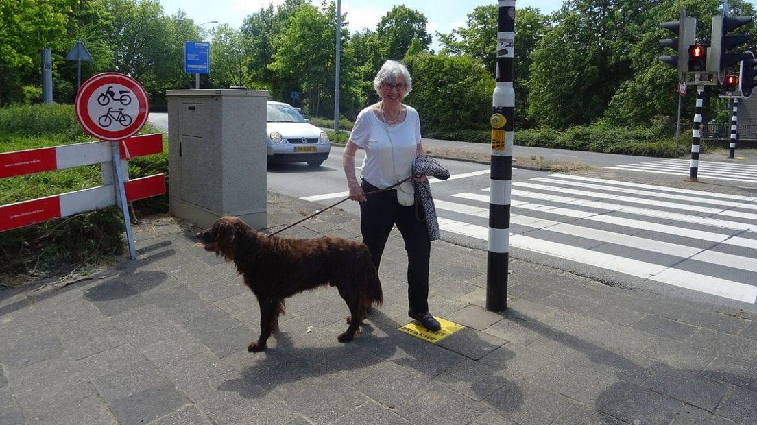 De voetdrukknop bij een zeebrapad in Leidschendam-Voorburg