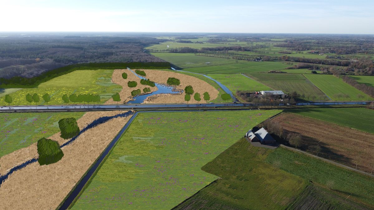 350 hectare nieuwe natuur en extra bochten in de beek: Keningsdjip wordt opnieuw ingericht