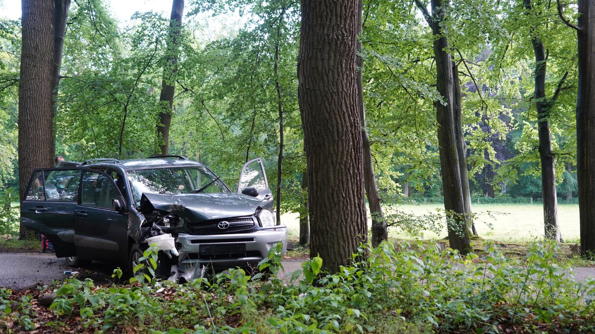 Moeder en twee kinderen naar ziekenhuis na botsing tegen boom