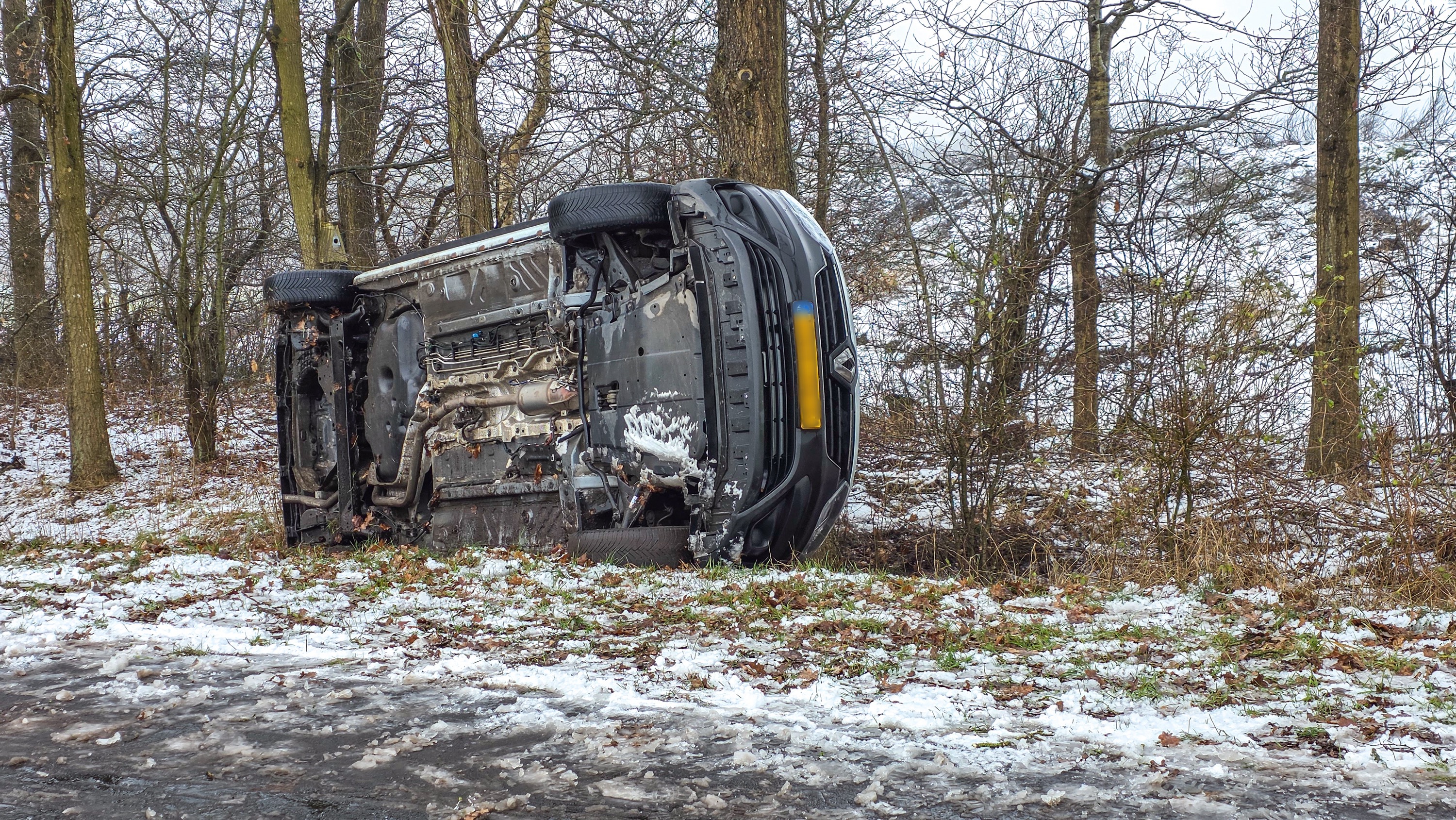 De auto kaam tsjin in beam ta stilstân