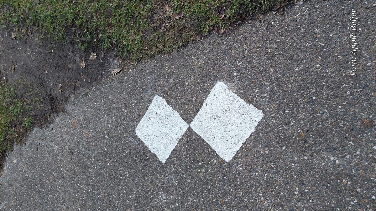 Wat betekenen die mysterieuze witte ruitjes op het fietspad?