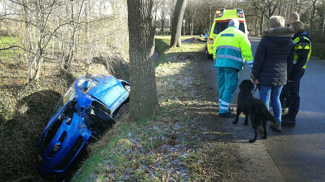 De auto belandde in de sloot (Rechten: Persbureau Meter)