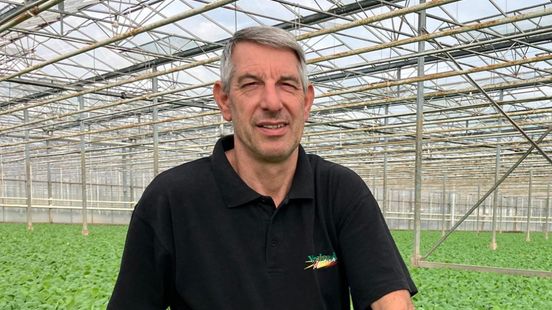 Jaco moest productie stoppen tijdens hete zomer: 'Regen kwam net op tijd' Home