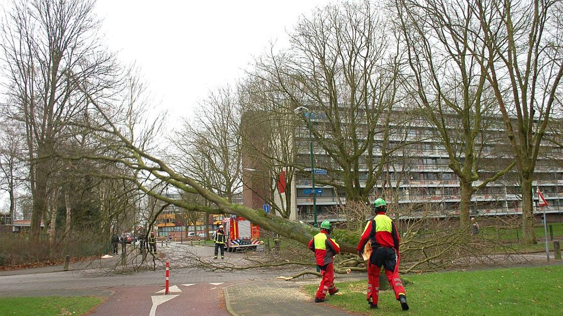 Brandweer in Soest druk met in stukken zagen van boom.